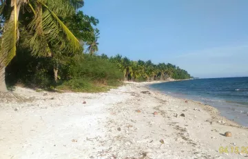 Beach lot For Sale in Lobo, Batangas