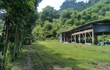 Agricultural Lot For Sale in Mabini, Koronadal, South Cotabato