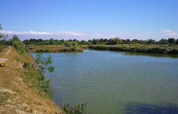 Agricultural Lot For Sale in Labrador, Pangasinan