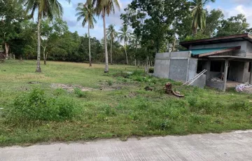 Commercial Lot For Sale in San Isidro, San Vicente, Palawan