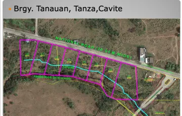 Commercial Lot For Rent in Tanauan, Tanza, Cavite