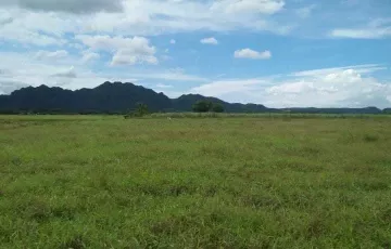 Agricultural Lot For Sale in Balayan, Batangas