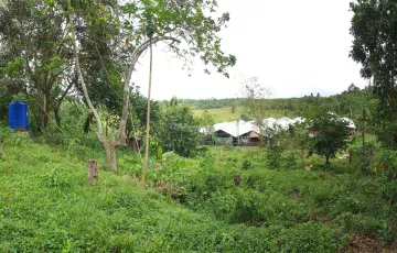 Agricultural Lot For Rent in Bongdo, Borbon, Cebu