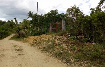 Lot For Sale in Cortes, Bohol | Lamudi