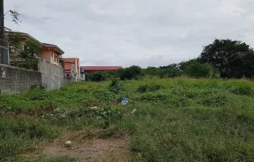 Residential Lot For Sale in San Isidro, Parañaque, Metro Manila