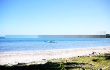 Beach lot For Sale in Calatagbak, Quezon, Palawan