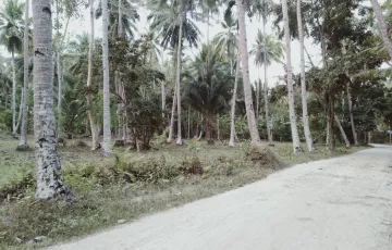 Agricultural Lot For Sale in Clarin, Bohol