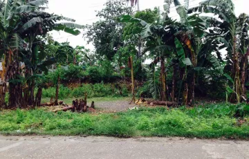 Land For Rent in Poblacion, San Isidro, Bohol