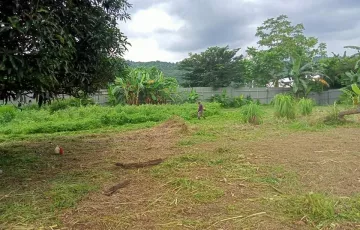 Agricultural Lot For Sale in Sabang, Pagsanjan, Laguna