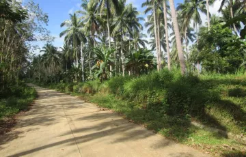 Agricultural Lot For Sale in Linawan, Bansalan, Davao del Sur