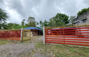 Single-family House For Sale in Mabini, Cabadbaran, Agusan del Norte