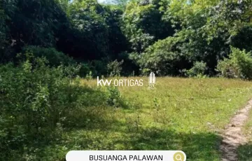 Agricultural Lot For Sale in Concepcion, Busuanga, Palawan