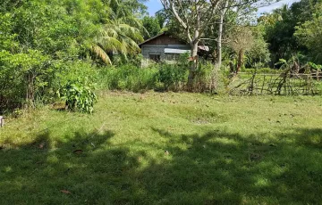 Residential Lot For Sale in Leling, Hagonoy, Davao del Sur