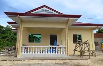 Single-family House For Sale in San Remigio, Cebu