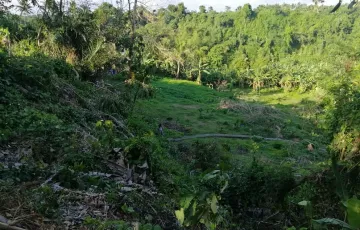 Residential Lot For Sale in Gulang-Gulang, Lucena, Quezon