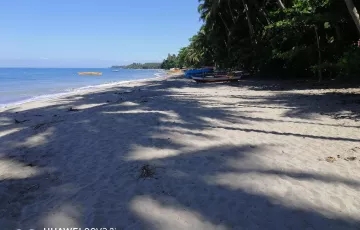 Beach House For Sale in Bonawon, Siaton, Negros Oriental