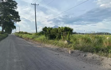 Agricultural Lot For Sale in Polo, Polomolok, South Cotabato