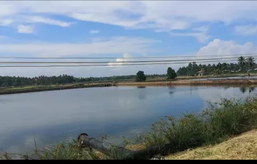 Agricultural Lot For Sale in Banaybanay, Davao Oriental