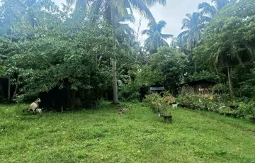 Agricultural Lot For Sale in Anonang, Island of garden Samal, Samal, Davao del Norte