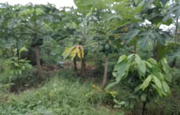 Agricultural Lot For Sale in Coral Ni Bacal, Calaca, Batangas