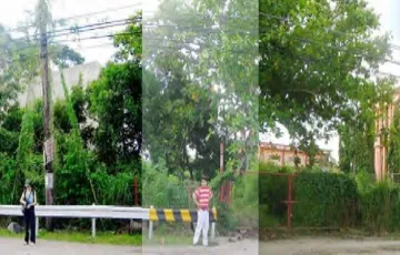 Commercial Lot For Sale in Gulang-Gulang, Lucena, Quezon