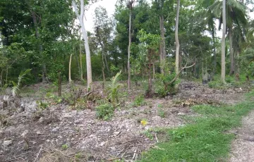 Agricultural Lot For Sale in Dalaguete, Cebu