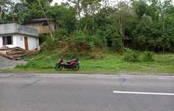 Commercial Lot For Sale in Feliciano, Balete, Aklan