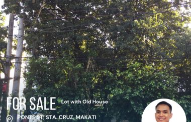 Lot For Sale in Santa Cruz Makati Lamudi