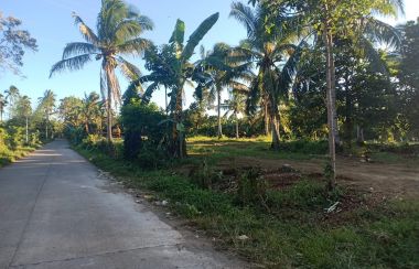 Lot For Sale in Indang, Cavite | Lamudi