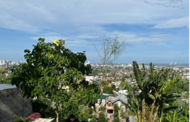 Lot For Sale in Tisa Cebu Lamudi