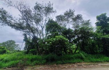 Lot For Sale in Santa Cruz Antipolo Lamudi