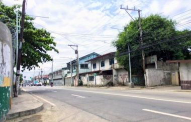 Lot With Improvement For Sale Along Quirino Ave., Brgy. Tambo 