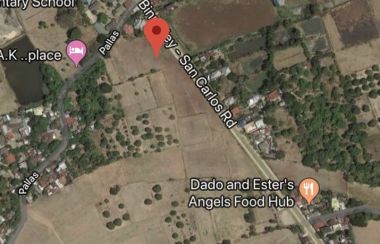 Agricultural Lot For Sale in Pangasinan