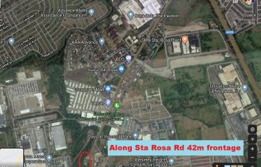 Commercial Lot For Sale in Pulong Santa Cruz Laguna Lamudi