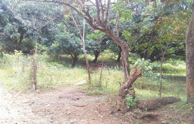 Lot For Sale in Tanay, Rizal | Lamudi