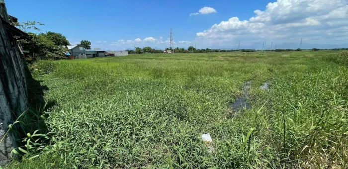 Agricultural Lot For Sale In Santo Tomas, Pampanga 