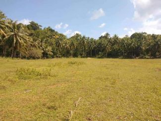 Malinao Siargao General Luna Property for Sale