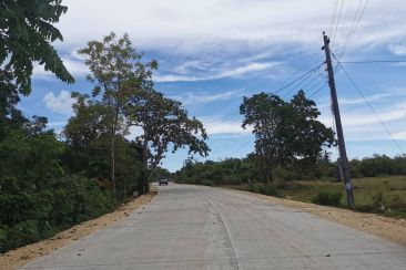 89,864 sq.m Titled Lot For Sale located in Tangnan, Panglao Island, Bohol