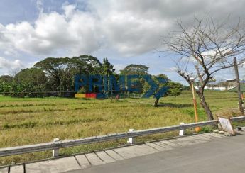 26,127.28 sqm Lot for Lease in Guyong, Bulacan: Ideal for Industrial ...