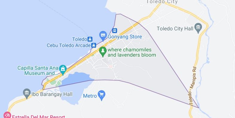 Ibo Toledo City Cebu Map For Sale: Commercial Lot Toledo City