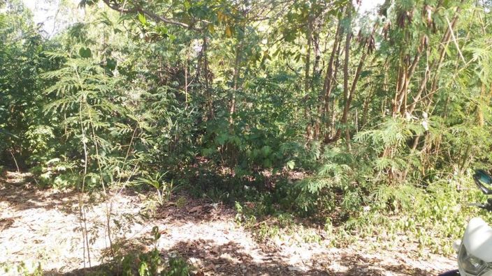 Lot for sale located at Tayud Consolacion Cebu, Pondol Street