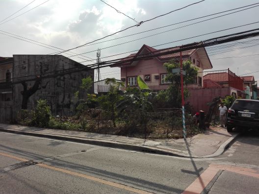 For Sale 210 sq.m Residential Lot in Goodrich Subdivision, Concepcion ...