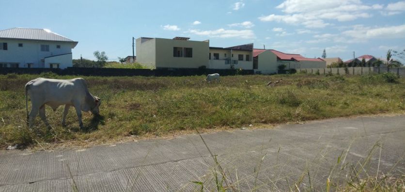 Lot For Sale 1 000 Square Meters Near New Era University Lipa City Batangas