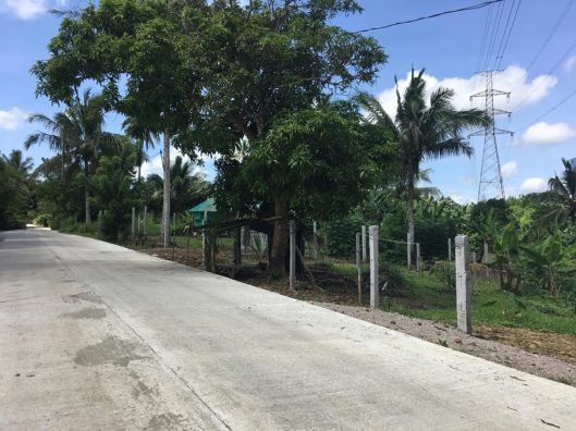 Cemented Road Farm Lot For Sale in Dagatan Amadeo Near Tagaytay