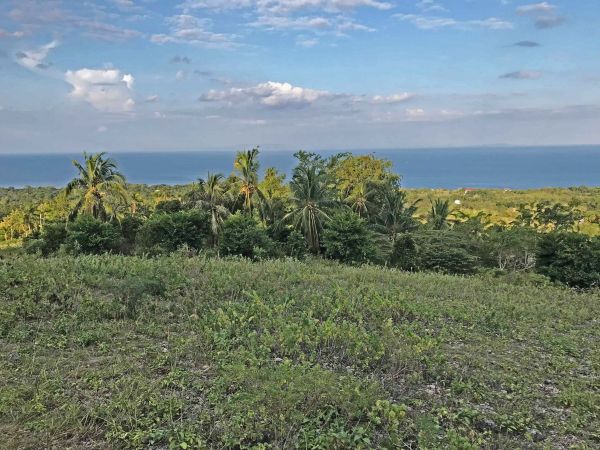 Sea View Lot 400sqm. Facing Bohol, Atabay Alcoy Cebu Philippines