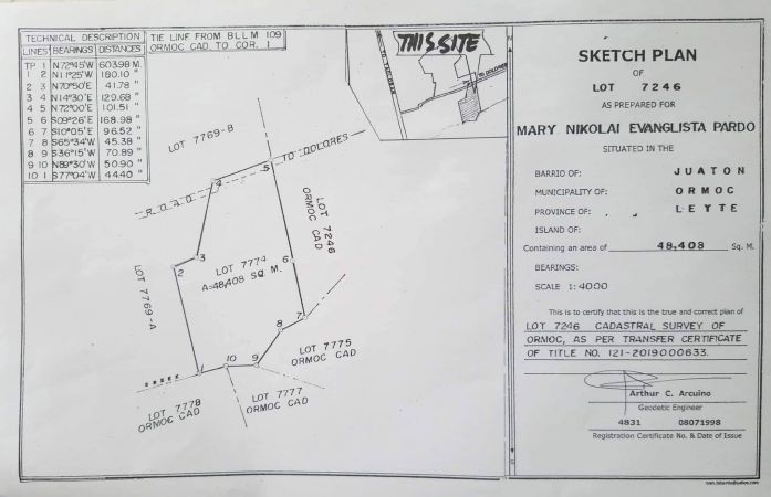 Ormoc City flat lands for sale ideal for housing or subdivision