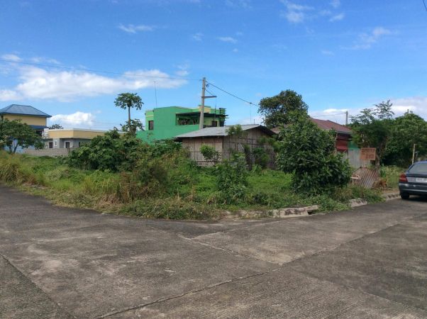 87 sqm Corner Lot for Sale at Villa Sta. Monica San Pablo Laguna