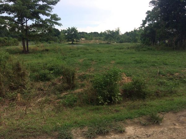 Lot For Sale In Brgy. Tibag, Tarlac City