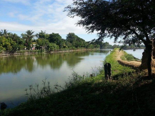 Agricultural Lot For Sale at Hagonoy, Bulacan