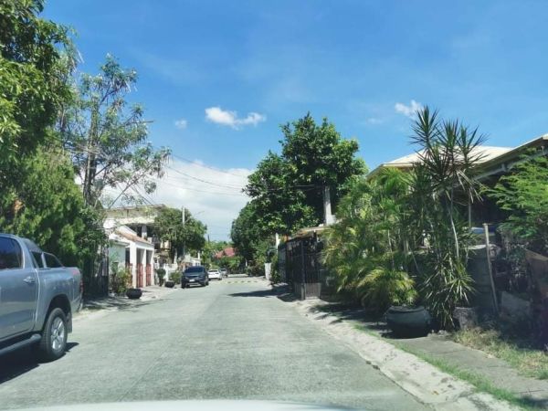 261 sqm Lot For Sale in Greenheights Paranaque City